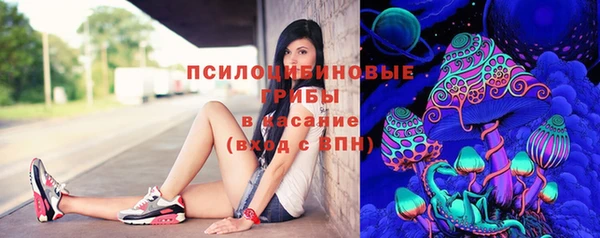 MDMA Елизово
