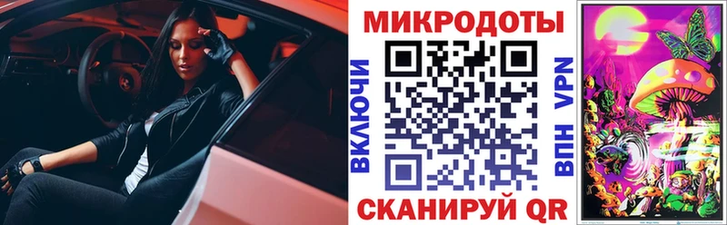 ссылка на мегу ССЫЛКА  Новокузнецк  Псилоцибиновые грибы мухоморы  darknet Telegram  где купить  